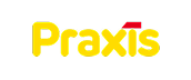Praxis
